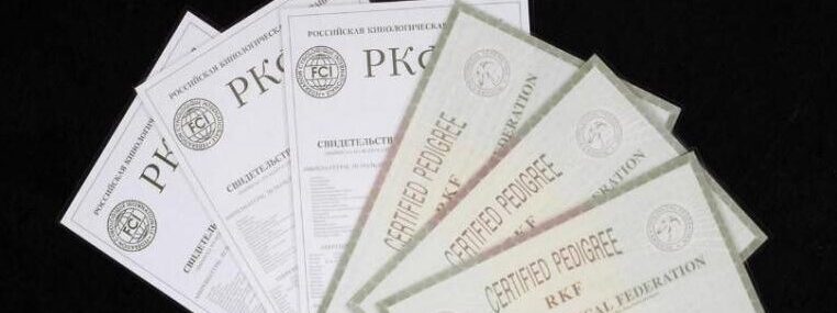 ГОТОВЫЕ ДОКУМЕНТЫ РКФ