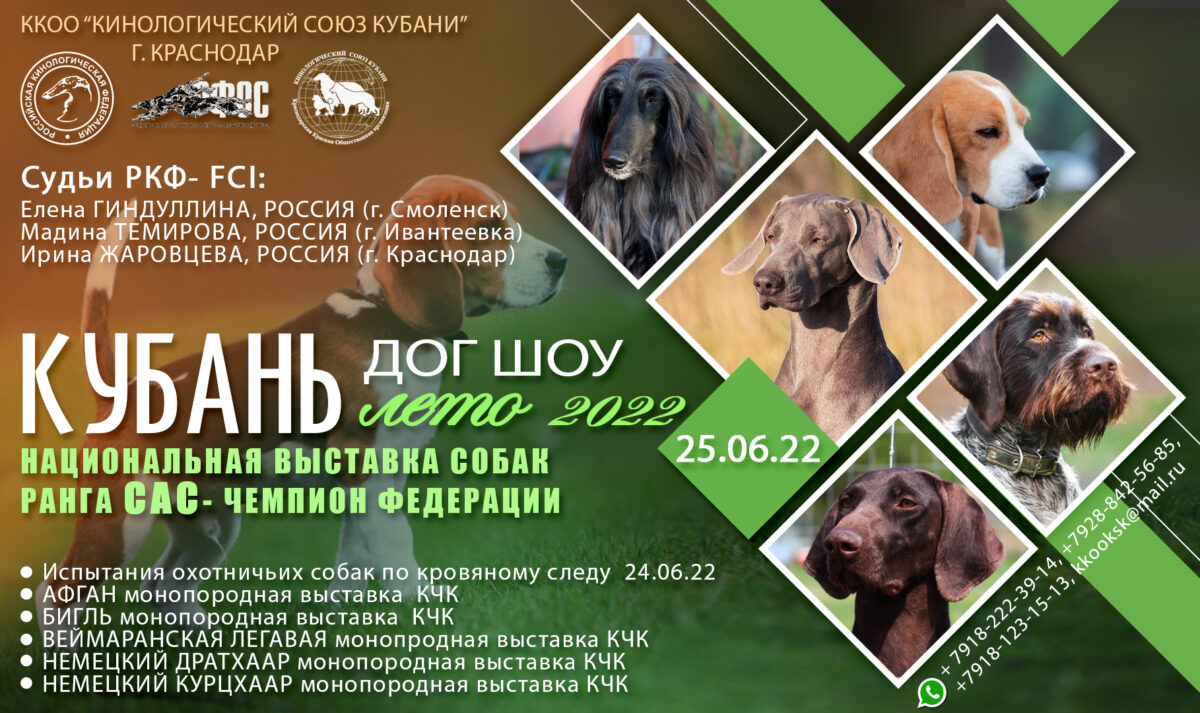 25 июня 2022 — «КУБАНЬ-ДОГ-ШОУ Лето 2022»