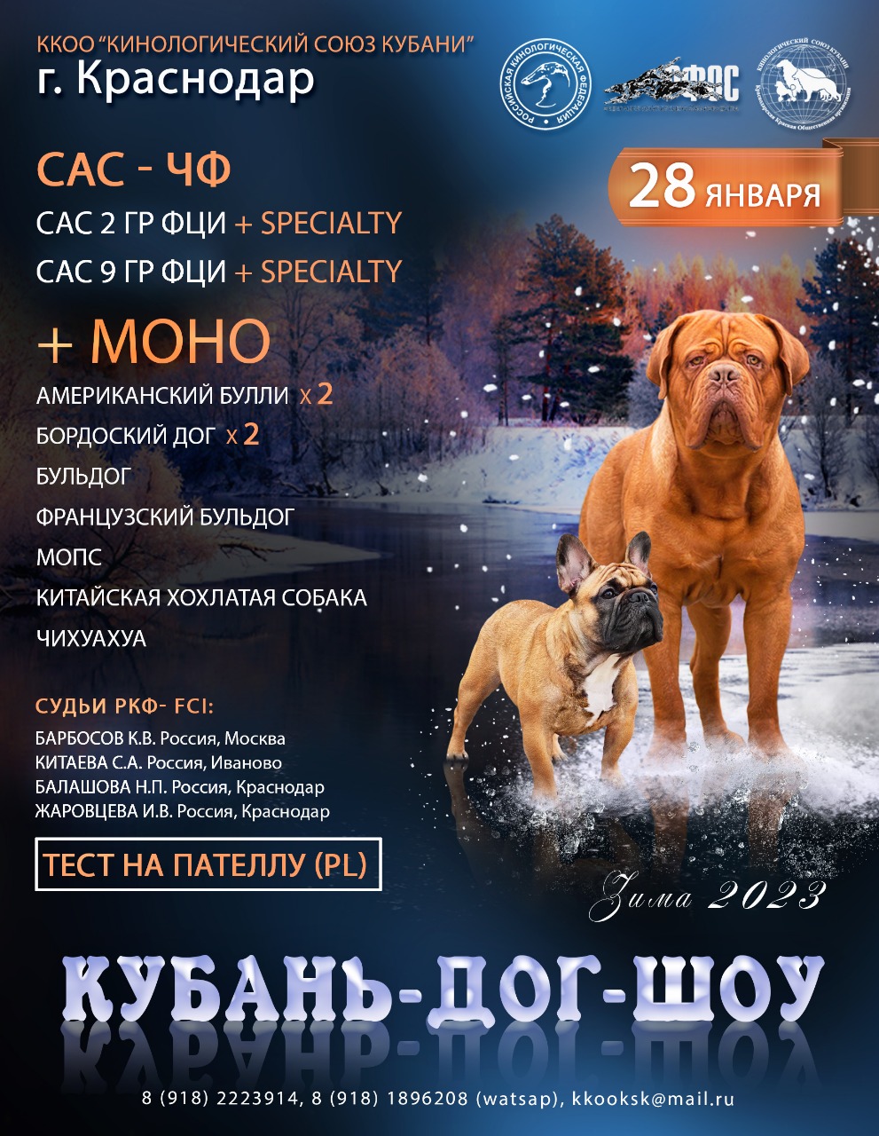 28.01.2023 — БЛОК ВЫСТАВОК — «КУБАНЬ ДОГ ШОУ Зима 2023»