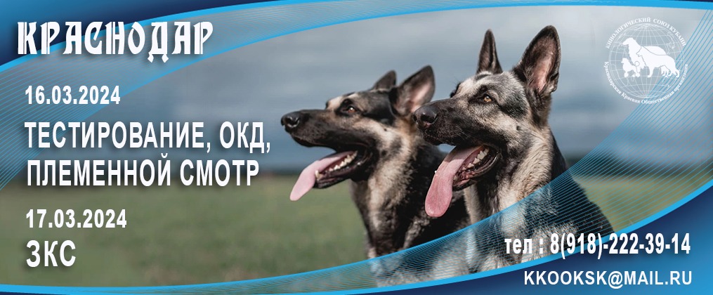 16-17.03.24 Племенной смотр, Тестирование, ОКД, ЗКС