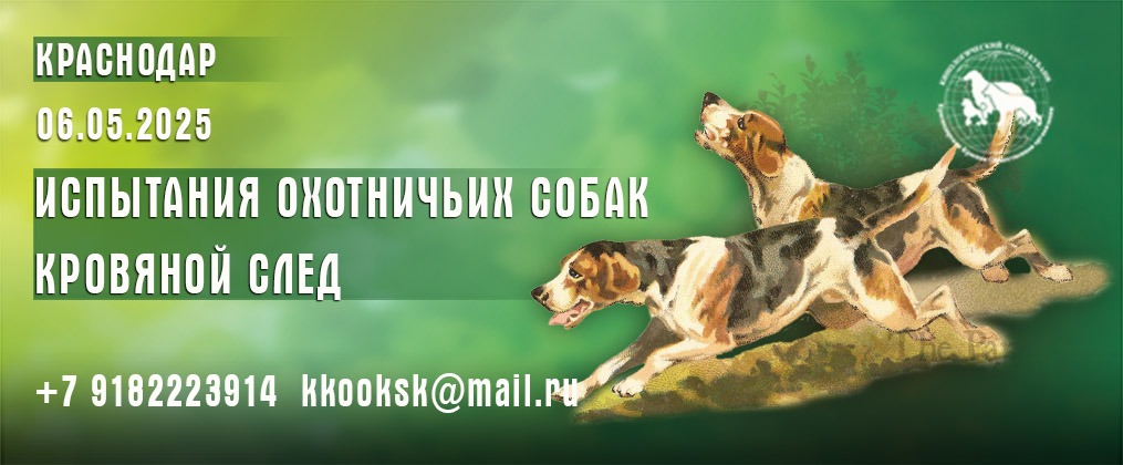 06.05.2024 — Испытания охотничьих собак — КРОВЯНОЙ СЛЕД