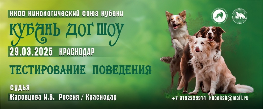 29.03.2025 — Тестирование