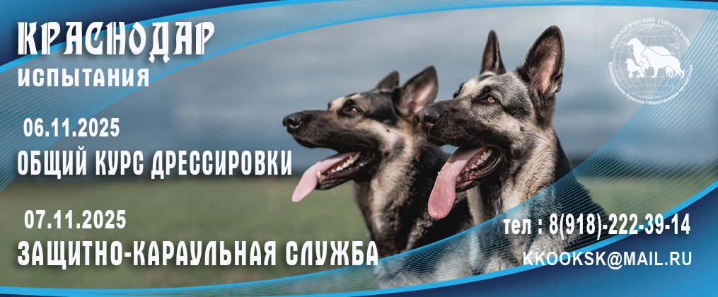 06-07.11.25 — Испытания ОКД, ЗКС