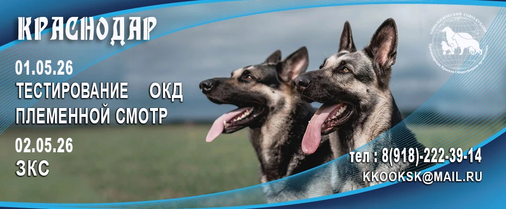 01-02.05.2026 — Племенной смотр, Тестирование, ОКД, ЗКС